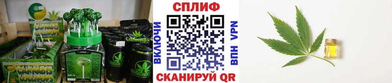 купить наркотики сайты  Сертолово  Еда ТГК конопля 