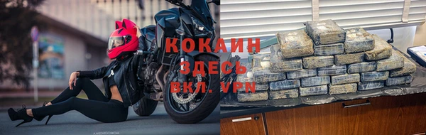 дмт Абаза