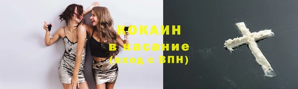 дмт Абаза