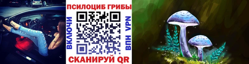 Псилоцибиновые грибы Psilocybine cubensis  Сертолово 